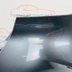 BMW 1 Series 2019 - 2022 Rear Bumper Skin Genuine F40 M Sport And Diffuser [r68]