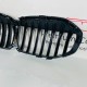 BMW 1 Series F40 Kidney Grill Genuine 2019 – 2024 [x182]