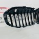 BMW 1 Series F40 Kidney Grill Genuine 2019 – 2024 [x182]