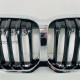 BMW 1 Series F40 Kidney Grill Genuine 2019 – 2024 [x182]