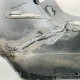 Mercedes E Class Front Bumper Skin Genuine Grey W213 Amg Line 2016 - 2020 [al63]