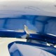 Vauxhall Zafira C Front Bumper Facelift Genuine Blue 39079783 2017-2020 [au132]